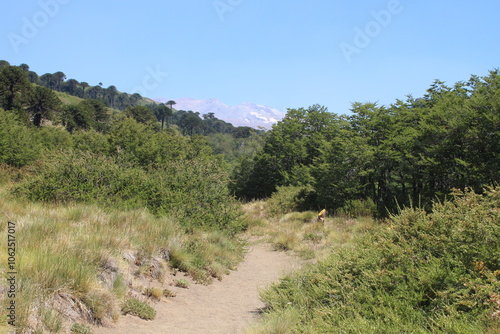 Beautiful landscape of patagonia argentina photo