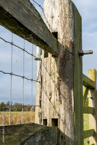Photography Bright Summer Landscape with Majestic Tree and Fence