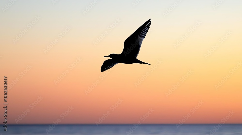 Naklejka premium Bird in flight against a colorful sunset sky over the ocean.