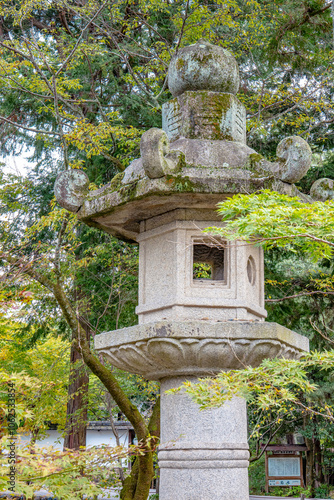 Traditional Japanese hexagonal lanterns.