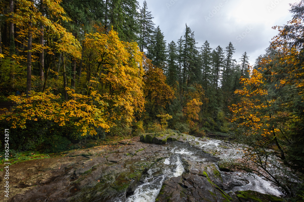 Creek and autumn forest on an overcast morning in Washington State, Pacific Northwest Creek and autumn forest on an overcast morning in Washington State, Pacific Northwest