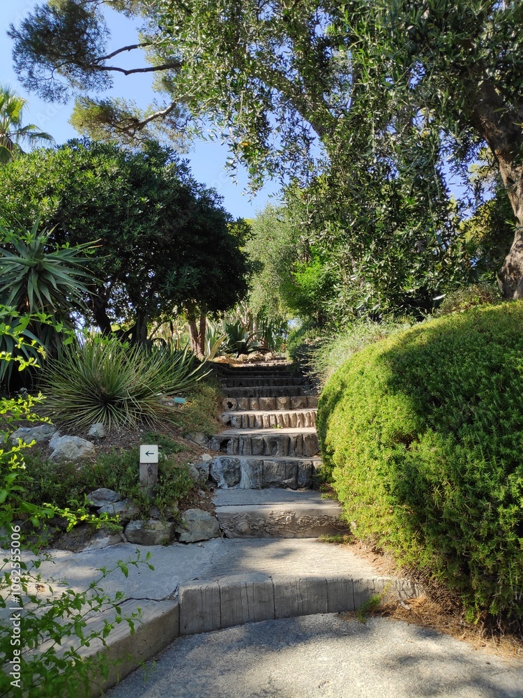 A charming stone pathway meanders through lush greenery under a bright sky, inviting leisurely strolls and offering an escape to tranquility in this garden oasis. A charming stone pathway meanders through lush greenery under a bright sky, inviting leisurely strolls and offering an escape to tranquility in this garden oasis.