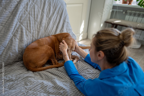 Obraz na plátně Caring middle aged woman gently pets sad-looking dog lying on sofa