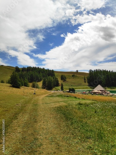 A clear trail through a grassy open land leading to distant hills, bordered by trees and vibrant vegetation, under an expansive sky, symbolizing freedom and adventure.
