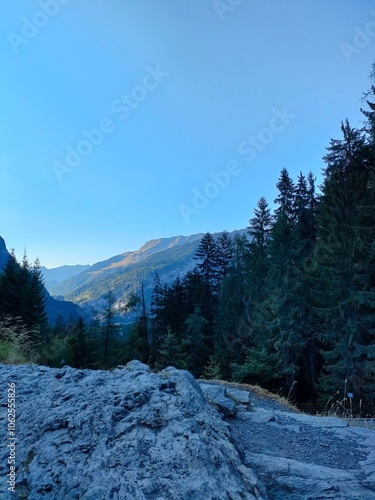A breathtaking view of a forested mountainous landscape under a clear blue sky, featuring lush green trees and distant hazy peaks, symbolizing natural beauty and peace.