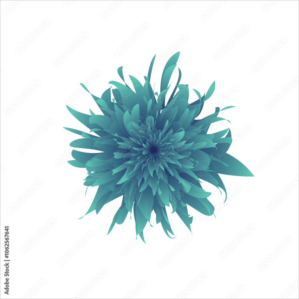 Obraz premium flower isolated on white