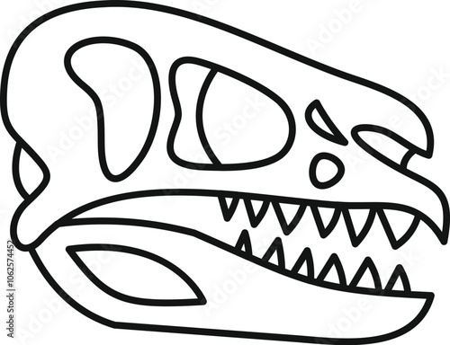 Dinosaur skull fossil isolated on white background, showing sharp teeth, eye sockets and nasal cavity