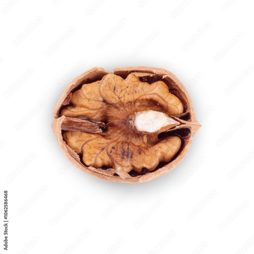 Walnut Organic Healthy Nut on White Background. File With Clipping Path. Walnut Organic Healthy Nut on White Background. File With Clipping Path.