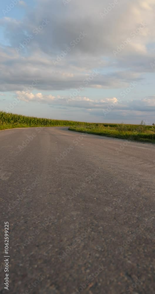 paved road in the summer at sunset, a country road for transport along the roadsides there are fields paved road in the summer at sunset, a country road for transport along the roadsides there are fields