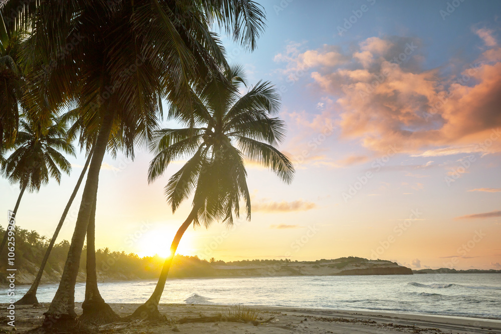 Fototapeta premium Tropical beach