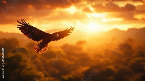 Eagle soaring through the sky at sunset with a vibrant golden background.