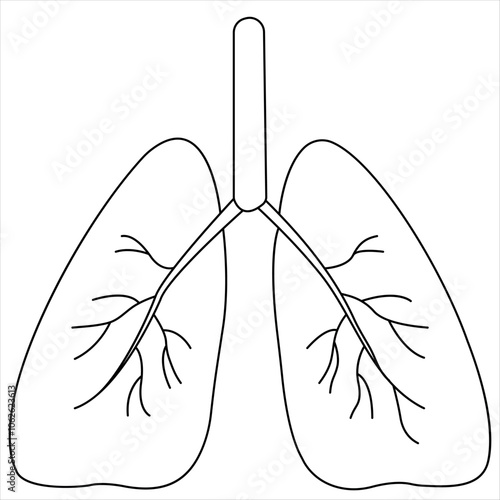 Continuous single line drawing of anatomical human lungs organ medical internal anatomy concept one line design vector illustration