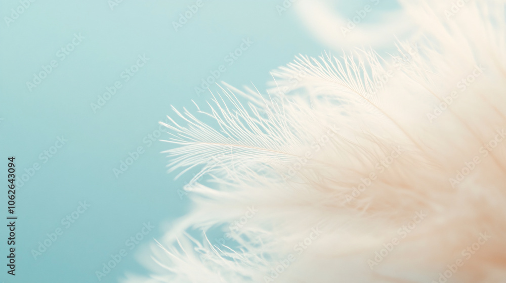 Obraz premium A striking close-up of a feather, showcasing each delicate strand and the fine texture of its barbs. The soft background adds depth while allowing the featherâ€™s intricate details to shine, from the