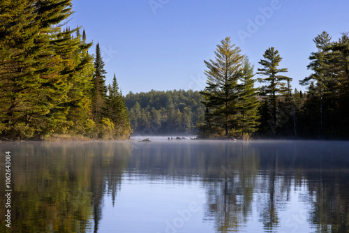 Obraz na płótnie Reflection of evergreen trees on Joe Lake in Algonquin Provincial Park Ontario C