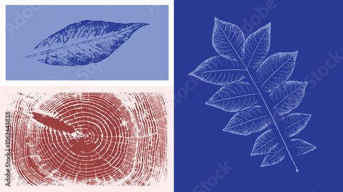 Decorative leaf sketch and wood block prints. Monotone pink and blue botanical tree rings and leaves impression print.