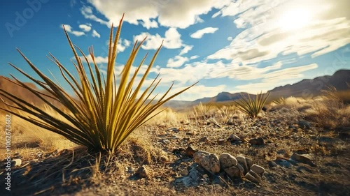 Environmental issues in desert ecosystems, showcasing the unique challenges faced by deserts, such as water scarcity, habitat loss, and climate change,  photo