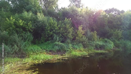 Beautiful summer landscape of river and forest