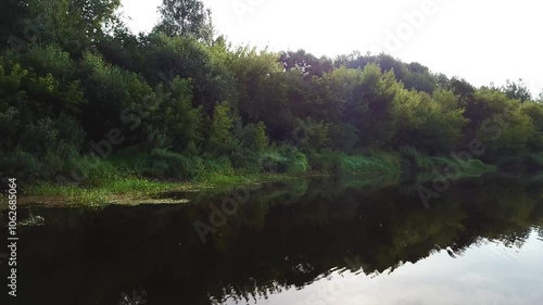 Beautiful summer landscape of river and forest