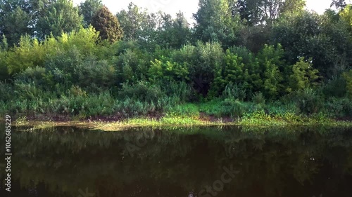 Beautiful summer landscape of river and forest