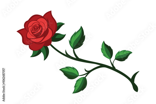 red rose with leaves vector illustration design