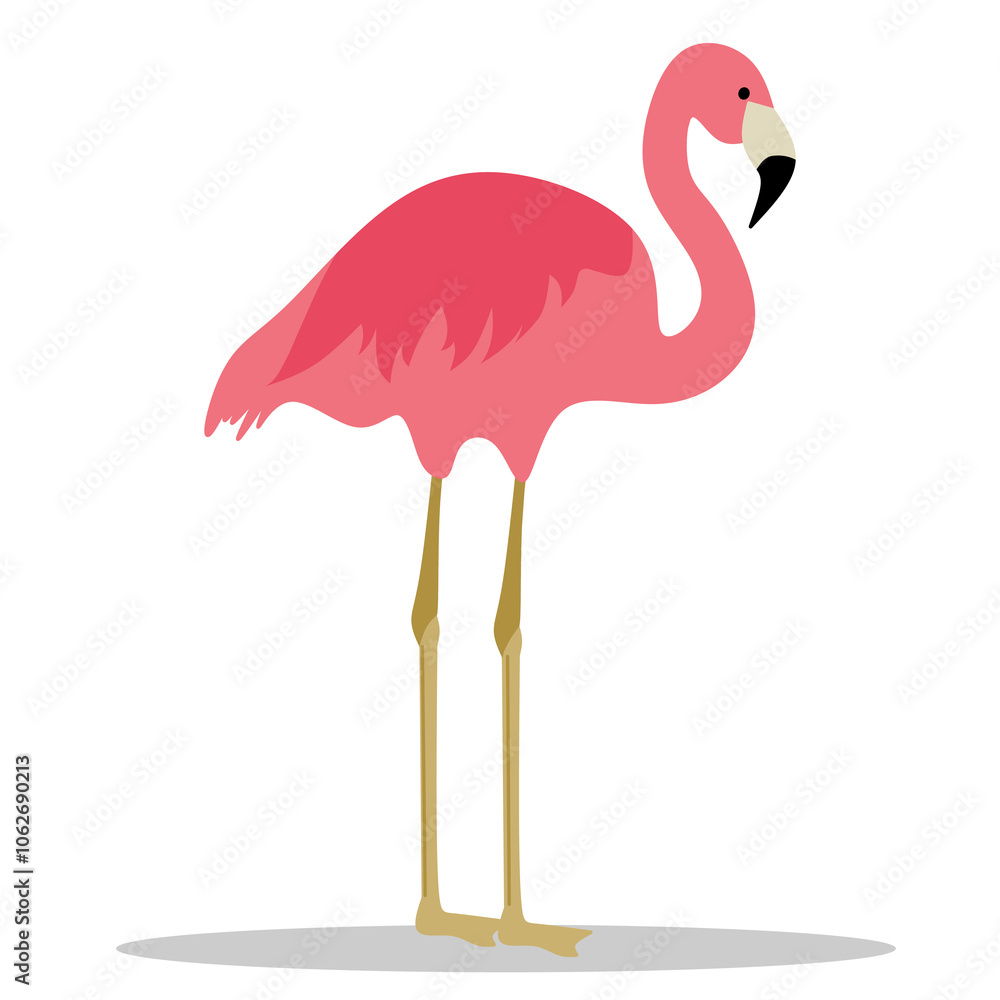 Fototapeta premium Cute Pink Flamingo. With a White Background. Suitable for a couple's love symbol.
