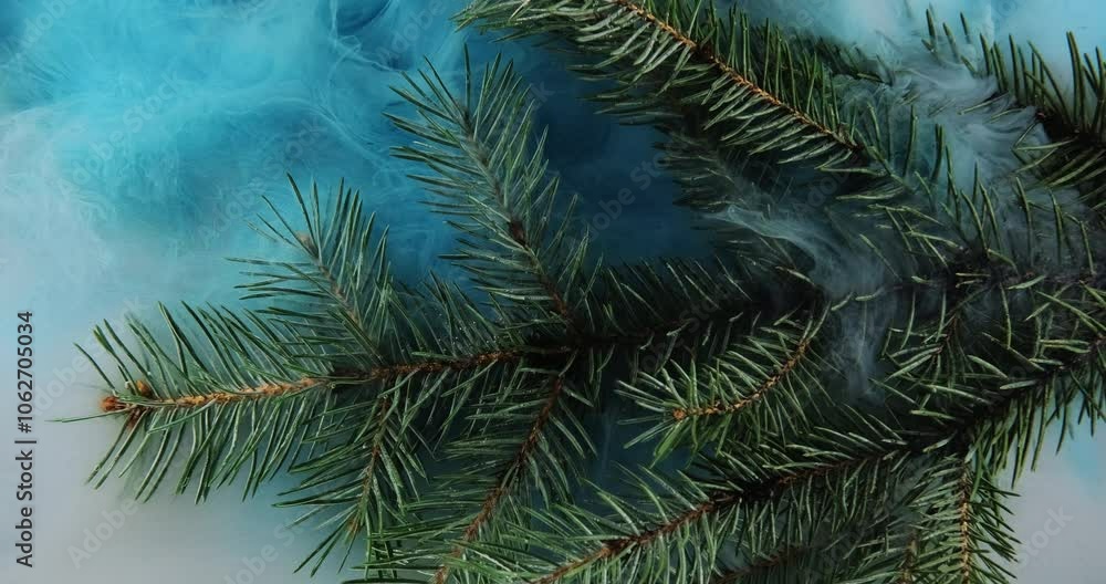 Fog pine branch. Smoke cloud. Green tree plant in blue color ink water splash mist floating wave spreading abstract background. Fog pine branch. Smoke cloud. Green tree plant in blue color ink water splash mist floating wave spreading abstract background.