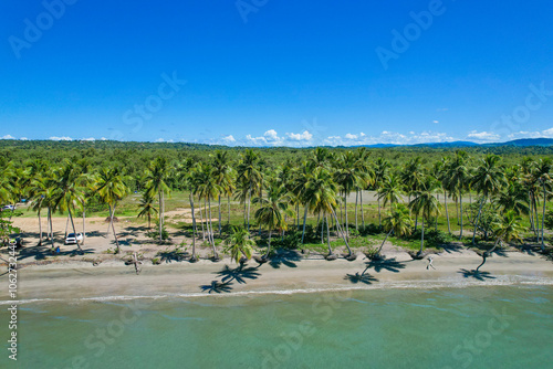 beach with palm trees