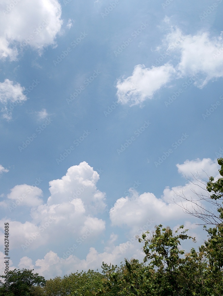 Blue sky and White cloud nature background. Green tree top line over blue sky. Blue sky and White cloud nature background. Green tree top line over blue sky.
