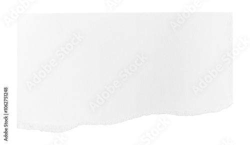 Wallpaper Mural White ripped piece of paper isolated on transparent background PNG file Torontodigital.ca