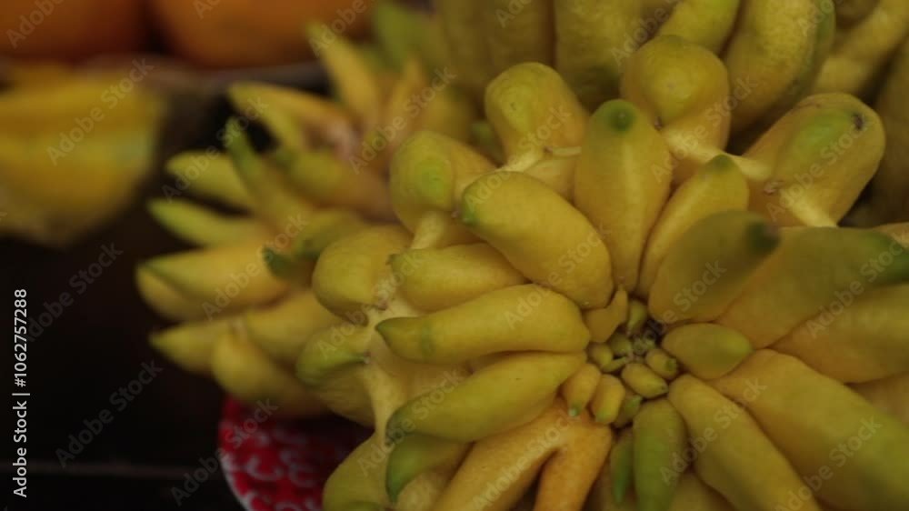 Unusual yellow Buddha's Hand citrus fruit on display at a local market in Sa Pa, Vietnam Unusual yellow Buddha's Hand citrus fruit on display at a local market in Sa Pa, Vietnam