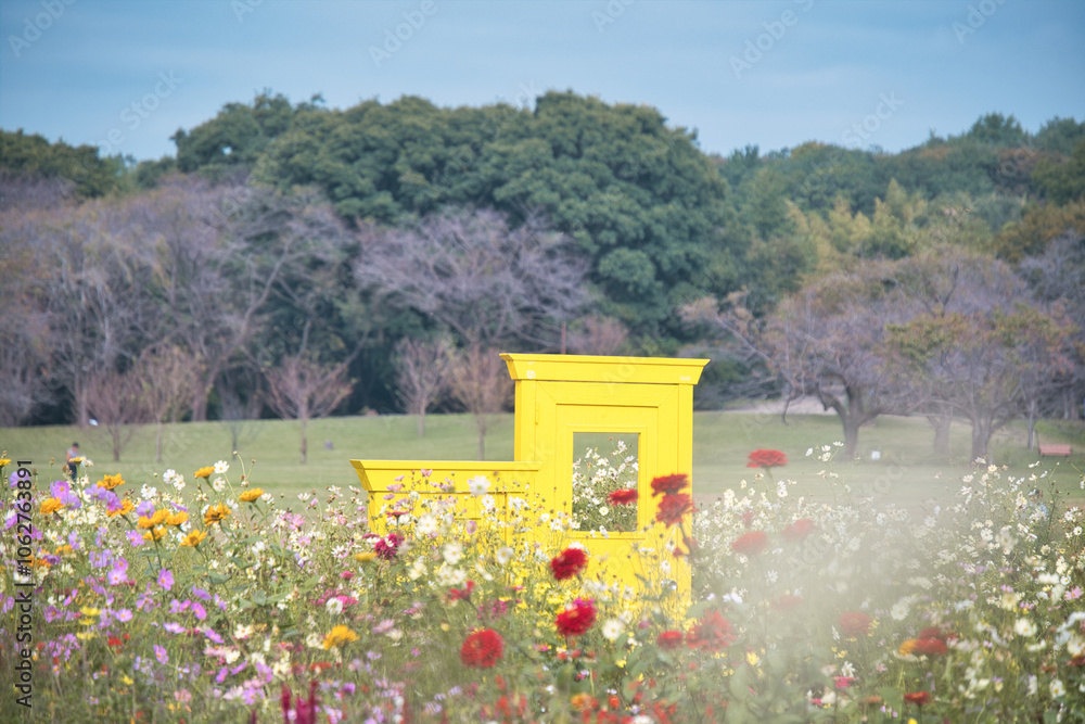 Obraz premium 秋の花畑