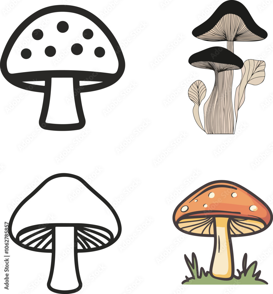 Mushroom Illustration Set Mushroom Illustration Set