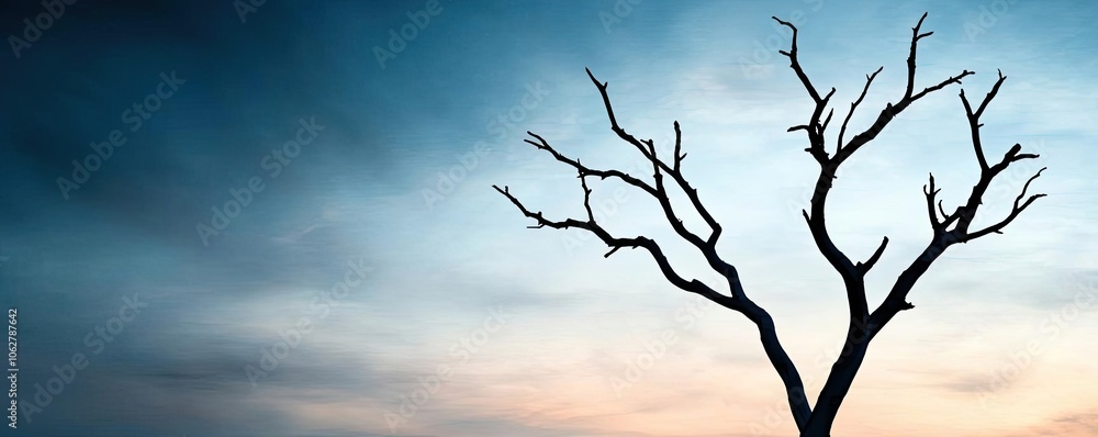 Dry tree branches silhouetted against a moody sky at dusk. Dry tree branches silhouetted against a moody sky at dusk.