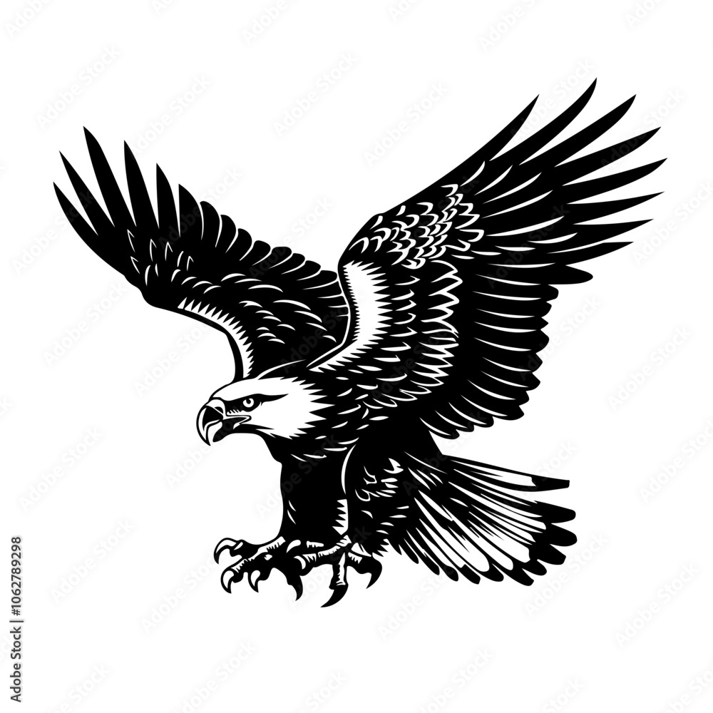 Obraz premium Eagle Attacking Vector Logo