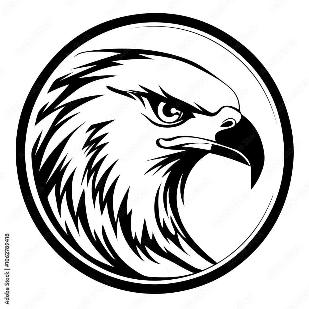 Fototapeta premium Eagle Eye Vector Logo