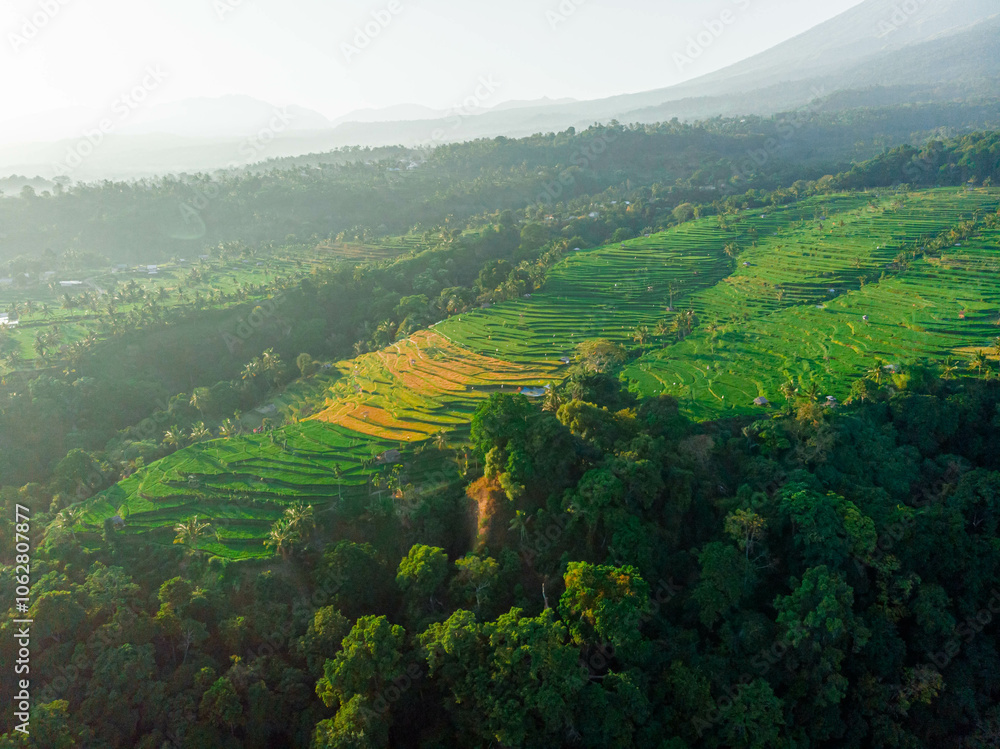 Fototapeta premium Aerial drone view of terraced paddy field scenery with Mount Rinjani background in Senaru, Lombok, Indonesia, Lombok, Indonesia.