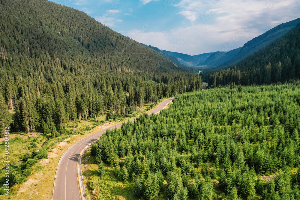 Aerial view of Transalpina road with many serpentines crossing forest in Carpathian mountains. Aerial mountains forest trees with road. Aerial view of Transalpina road with many serpentines crossing forest in Carpathian mountains. Aerial mountains forest trees with road.