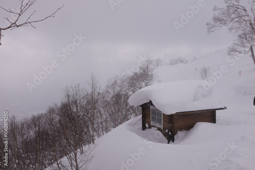 Wallpaper Mural snow covered house Torontodigital.ca