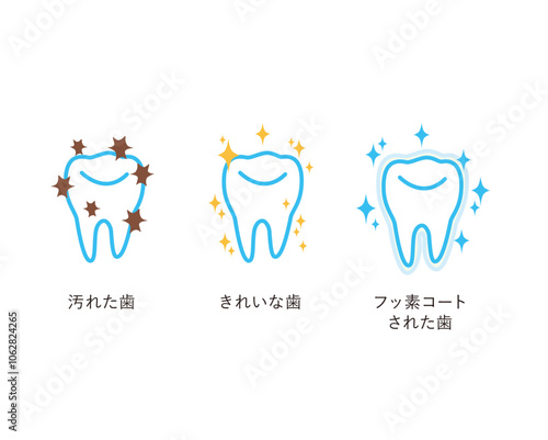 図版_イラスト_008_歯
