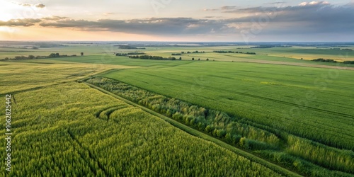 A panoramic aerial view of verdant fields, illuminated by the warm glow of the setting sun, showcasing the intricate patterns of agricultural land