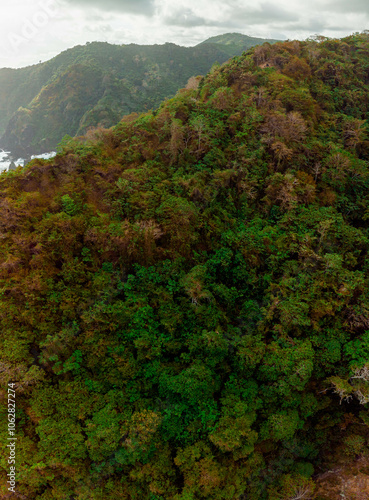 Aerial drone view of tropical thick forest scenery at Orong Bukal in Buwun Mas, Lombok, Indonesia. photo