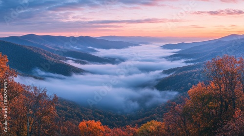 A valley blanketed in morning mist with autumn foliage in the foreground.