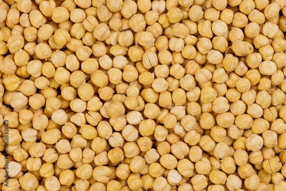 Chickpea or Garbanzo Bean, Also Known as Bengal Gram or Egyptian Pea. Chickpea or Garbanzo Bean, Also Known as Bengal Gram or Egyptian Pea.