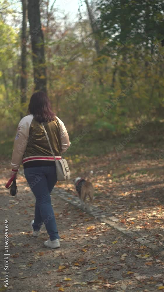Woman walking the dogs in the park in autumn Woman walking the dogs in the park in autumn