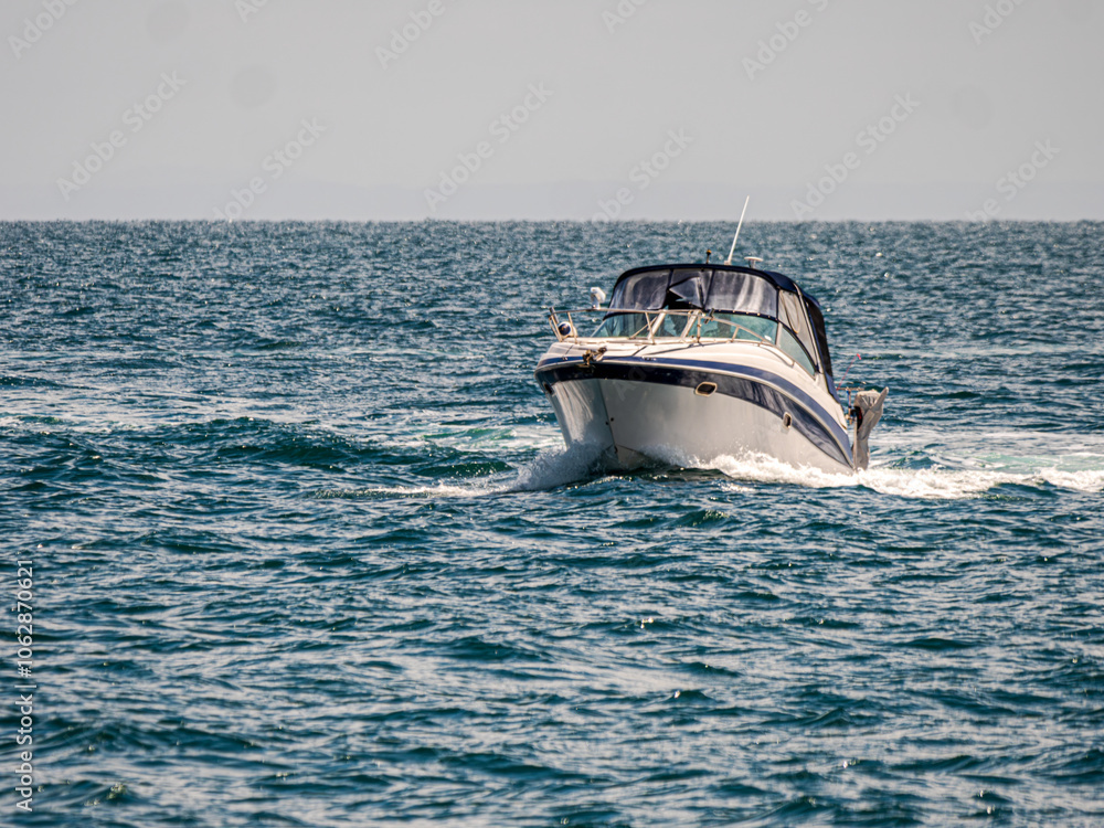 Fototapeta premium Blue Striped White Cruiser Wallowing In