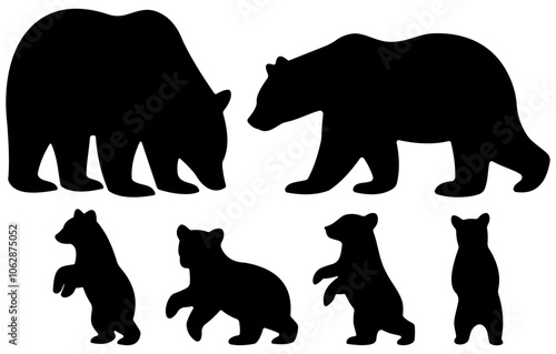 Bear family black silhouette animals. Vector Illustrator.