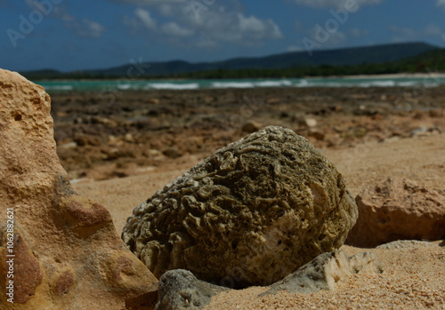 Canvas Print coral beach sand ocean waves