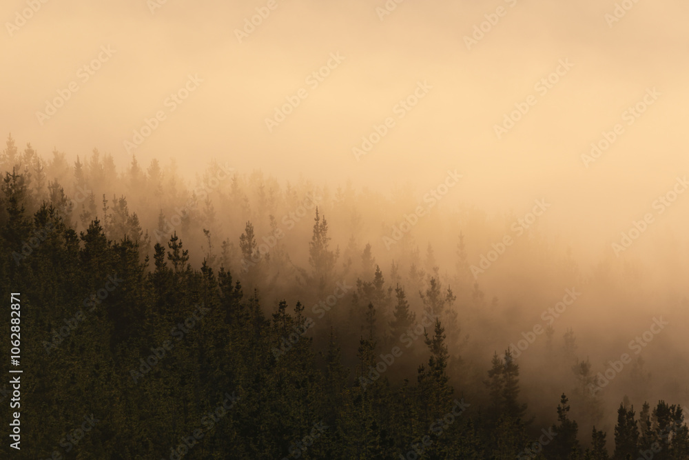 Fototapeta premium Aramaio valley under the clouds in the morning