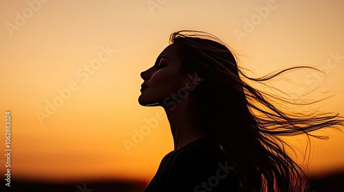 Wallpaper Mural Silhouette of a woman with flowing hair against a sunset sky. Torontodigital.ca