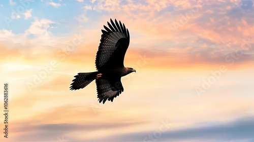 Wallpaper Mural Eagle soaring against a vibrant sunset sky, showcasing its majestic wingspan. Torontodigital.ca